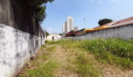 Terreno para venda ou locação, Vila Ré, excelente área para construir.