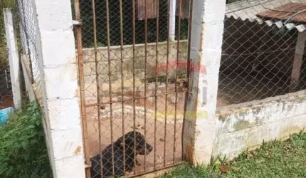 Sítio em Santa Isabel