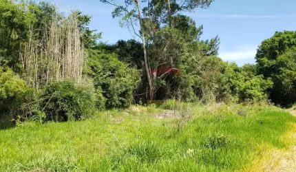 Área 18.600 m² em Ibiúna, 80KM de São Paulo. Investimento imobiliário em SP.