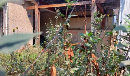 Casa Totalmente  Terrea Santana  - 278 m² de terreno