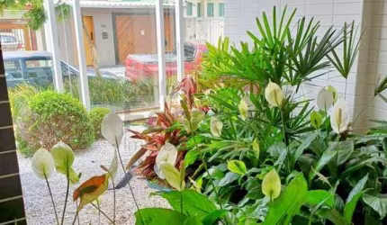 Apartamento no Jardim São Paulo com 2 dormitórios / 1 suíte / 1 vaga