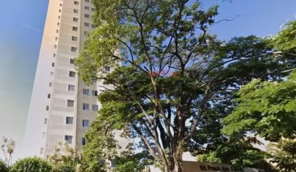 Apartamento com 2 Quartos à venda, 52m² - Parque Edu Chaves