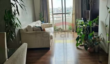 Apartamento  3 Dormitórios  2 Vagas - Parque Mandaqui