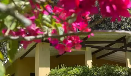 Chacara - Residencial ou Comercial -Suzano