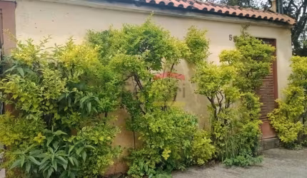 Sobrado comercial ou residencial V. Nova Cachoeirinha
