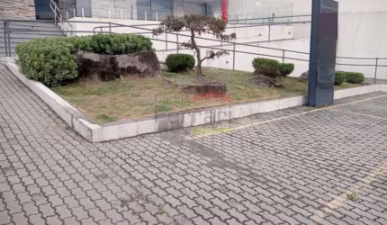 Comercial com 500 m² em via de alto fluxo