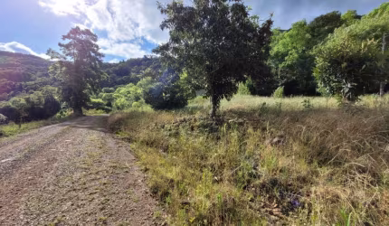 Chácara / sítio com 2 quartos à venda no Santa Lúcia do Piaí, Caxias do Sul  por R$ 130.000