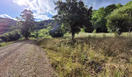 Chácara / sítio com 2 quartos à venda no Santa Lúcia do Piaí, Caxias do Sul  por R$ 140.000