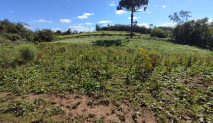 Chácara / sítio com 1 quarto à venda no Nova Sardenha (Distrito), Farroupilha  por R$ 550.000