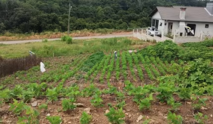 Terreno à venda no Monte Bérico, Caxias do Sul  por R$ 185.000