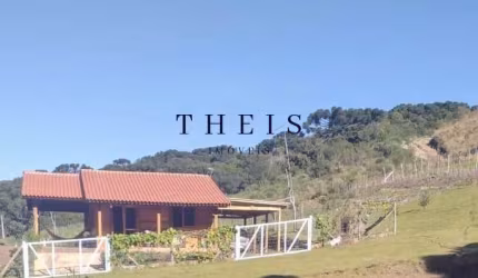 Chácara / sítio com 2 quartos à venda na Vila Oliva (Distrito), Caxias do Sul  por R$ 449.000