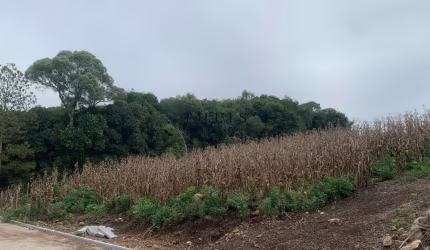 Terreno à venda no Nova Roma (Distrito), Flores da Cunha  por R$ 105.000