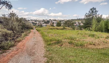 TERRENOS NO BAIRRO TANQUE, A MENOS DE 300 MTS DA RODOVIA