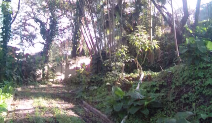 Terreno para Venda em São Paulo, Jardim Vitória Régia