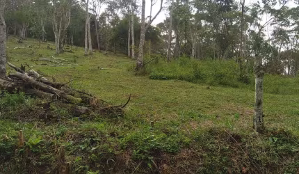 Área para Venda em Juquitiba, dos Borges