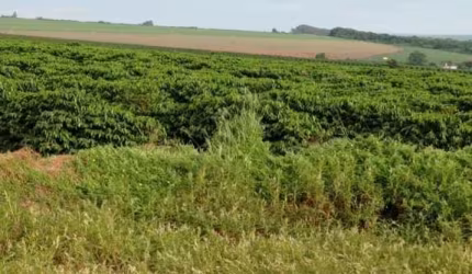 Fazenda para Venda em Franca, Parque Francal