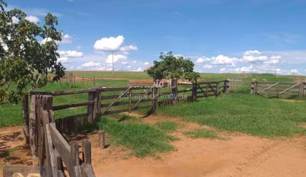Fazenda para Venda em Araçatuba, Vila São Paulo