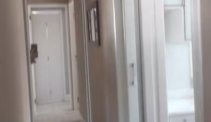 Apartamento para Venda em São Paulo, Nossa Senhora do Ó, 2 dormitórios, 1 suíte, 2 banheiros, 1 vaga