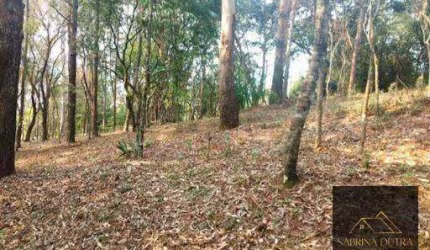 área com viabilidade