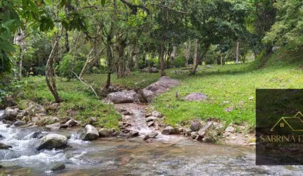 Sitio / Haras 23 hectares