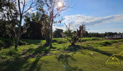 Terreno à venda, 3333 m² por R$ 1.550.000,00 - Ratones - Florianópolis/SC