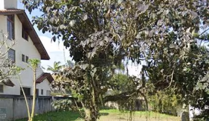 Terreno à venda, 450 m² por R$ 2.450.000,00 - Jurere Leste - Florianópolis/SC