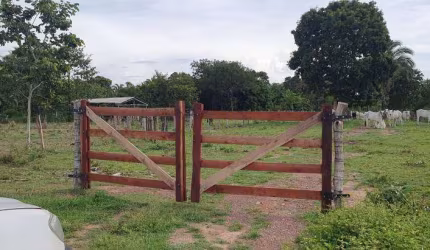 Fazenda com 270 hectares, região rural de NS Livramento.