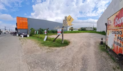 Terreno para Venda em Pinhais, Vargem Grande
