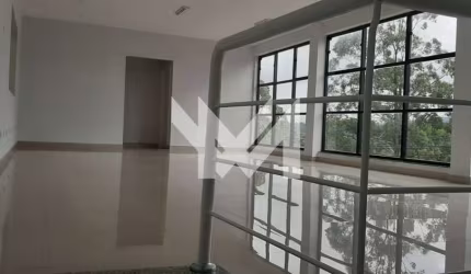 Galpão Comercial /  Terra Preta