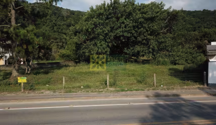 Terreno - Porto Belo SC