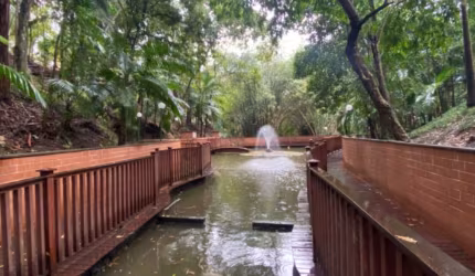 Oportunidade no condomínio floresta...