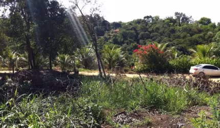 Linda e Ampla Chácara Excelente localização