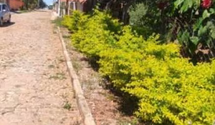 Terreno para Venda em Cond. Andrequicé Santa Luzia-MG