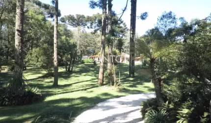 Fazenda à venda na Rua Francisco Buzato, 329, Área Rural de Almirante Tamandaré, Almirante Tamandaré, 110 m2 por R$ 1.800.000