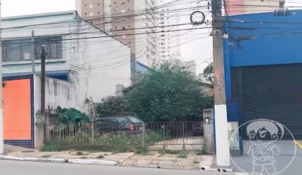 Terreno com Casas no Tatuapé à Venda - 320m² - Cód 5056