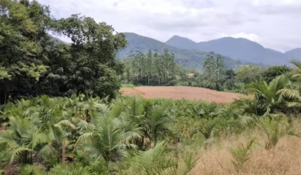 Chácara / sítio com 1 quarto à venda em Garibaldi, Jaraguá do Sul  por R$ 450.000