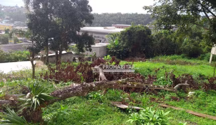 Terreno à venda, 536 m² por R$ 350.000,00 - Jardim Novo Parelheiros - São Paulo/SP