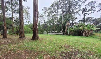 Terreno à venda, 5000 m² por R$ 400.000,00 - Chácara das Corujas - São Paulo/SP