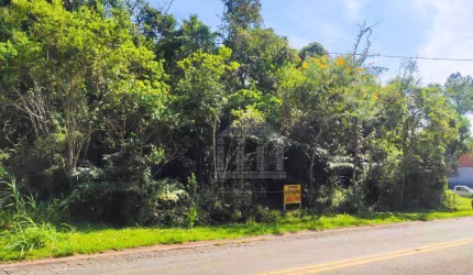 Terreno à venda no Jardim Alviverde