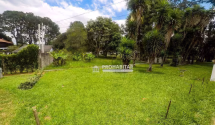 Terreno à venda, 250 m² no Jardim das Palmeiras