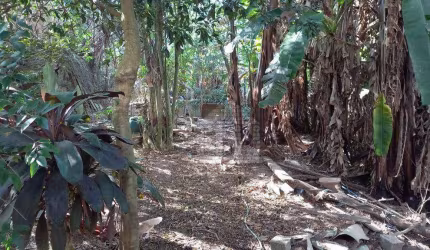 Área à venda, 2060 m² na Vila Carmosina