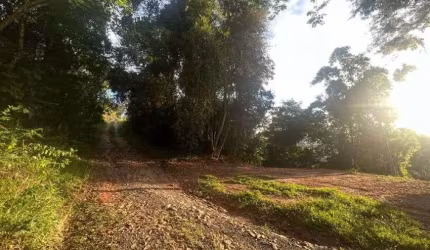 Terreno à venda no bairro Tiguera, Juiz de Fora-MG