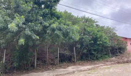 Venda | Terreno Pântano do Sul