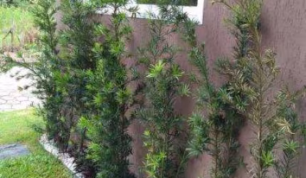 Casa em condomínio fechado com 2 quartos à venda na Rua Joaquim Aurélio Nabuco de Araújo, Capricórnio I, Caraguatatuba, 77 m2 por R$ 350.000