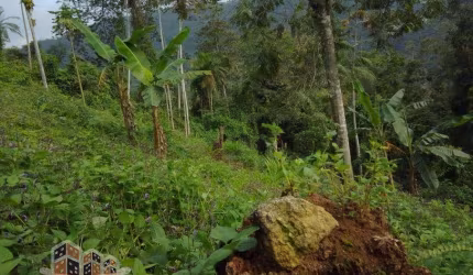 Terreno à venda em Ubatumirim, Ubatuba , 100000 m2 por R$ 800.000