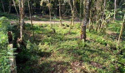 Terreno à venda na Figueira (Pé da Serra), Ubatuba , 600 m2 por R$ 135.000