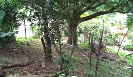 Terreno à venda na Praia da Enseada, São Sebastião , 150 m2 por R$ 100.000