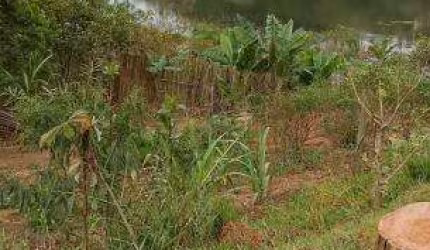 Chácara / sítio com 3 quartos à venda no Bairro da Lagoa, Paraibuna , 2000 m2 por R$ 200.000