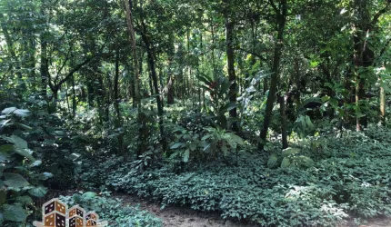 Terreno à venda na Barra do Una, São Sebastião , 3000 m2 por R$ 580.000