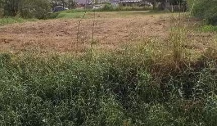Terreno à venda no Balneário Califórnia, Caraguatatuba , 394 m2 por R$ 150.000